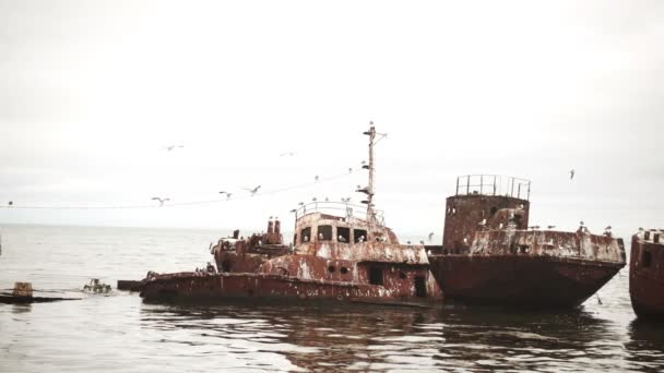 Old Fishing Boats Docked Harbor — Stock Video