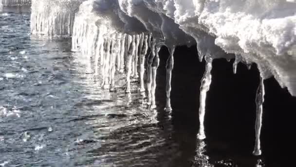 Eisscholle Auf Dem Altai Bach Frühling Sibirien Russland — Stockvideo