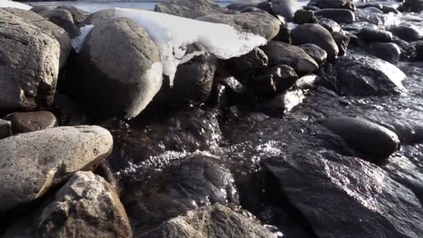 Floe Gelo Altai Creek Temporada Primavera Sibéria Rússia — Vídeo de Stock