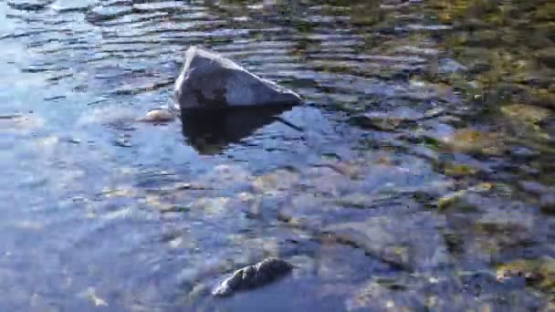 Floe Ghiaccio Sul Torrente Altai Nella Stagione Primaverile Siberia Russia — Video Stock