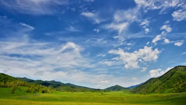 Vallée d'été verte et ciel bleu avec des nuages blancs clairs 