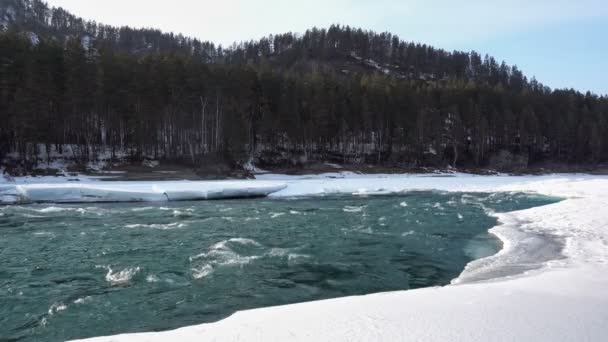 Floe Glace Sur Ruisseau Altai Printemps Sibérie Russie — Video