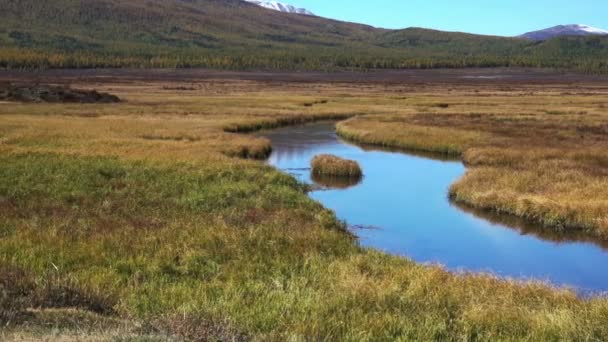 Nature Landscape Altay Russia — Stock Video