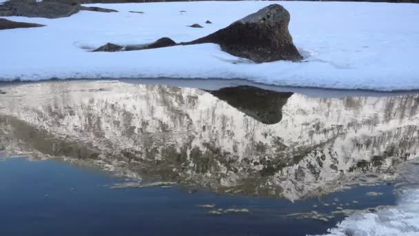 Eisscholle Auf Dem Altai Bach Frühling Sibirien Russland — Stockvideo