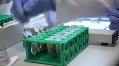 Novosibirsk Rusya, - 16 Nisan 2017: bilim adamı modern genetik Merkezi genom sırası için çalışıyor 