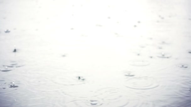 Gouttes Pluie Sur Surface Eau — Video