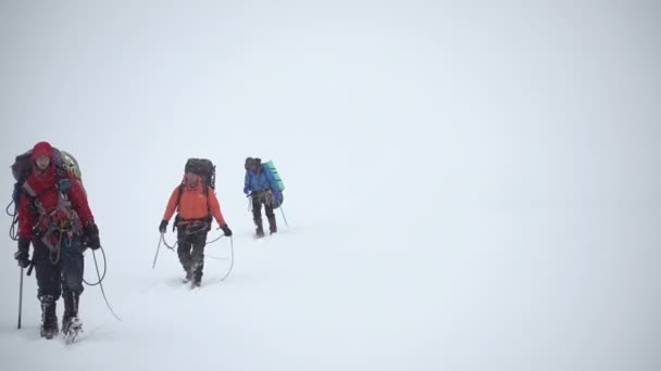 Iiktoo 南チー範囲高度 4000 メートルの登山者が急な雪斜面の上昇アルタイ 2015 年ロシア — ストック動画