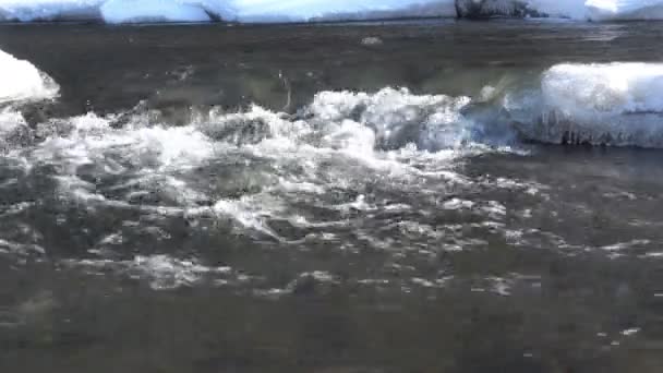 Melting Water Altai Russia — Stock Video