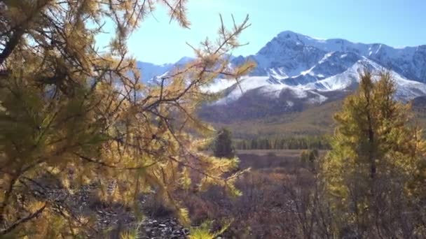 Autunno Paesaggio Montano Regione Altay Russia — Video Stock