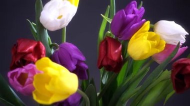 Lale çiçek vazoda doğum günü kutlaması için. 