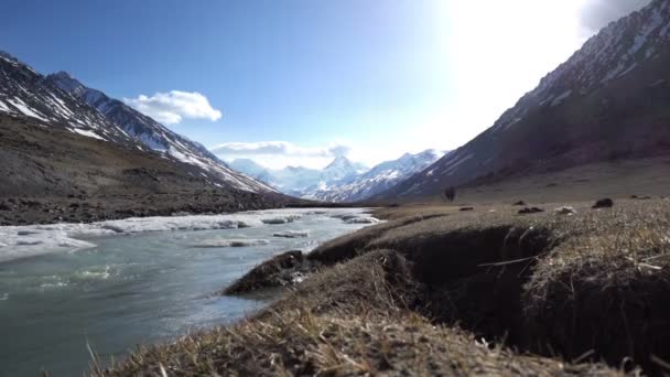 Frozen Stream Ice Spring River Snow Cold Water Flows River — Stock Video