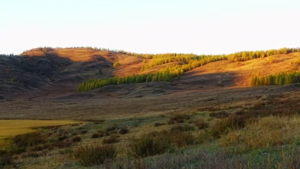 Sonbahar Dağ Manzarası Altay Bölgesi Rusya Federasyonu — Stok video