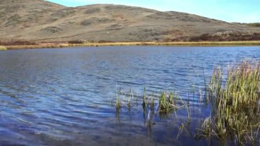 Bahar sezonu closeup nehir. Sibirya, Rusya Federasyonu