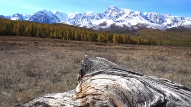 Visa Altai Bergsplatå Eshtykel Norra Chuisky Sibirien Ryssland — Stockvideo