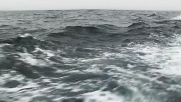 Vue Pittoresque Sur Les Vagues Mer Par Temps Nuageux — Video