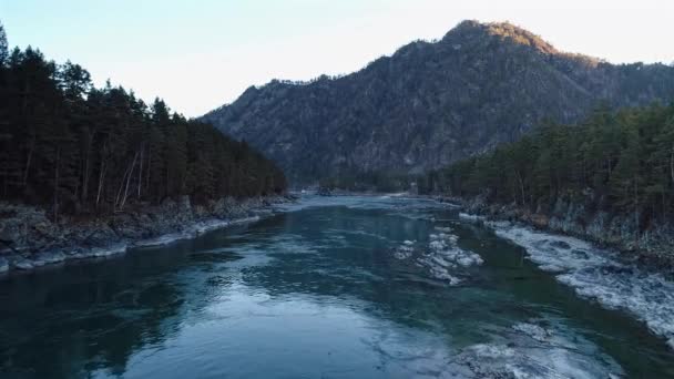 Bajo Vuelo Sobre Río Fresco Frío Montaña Altai Río Katun — Vídeo de stock