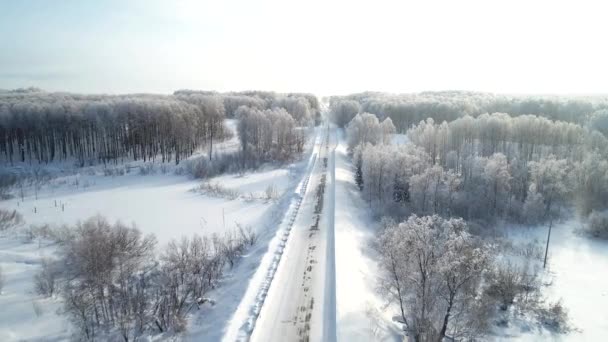 美丽的积雪覆盖的冬季森林的鸟瞰 — 图库视频影像