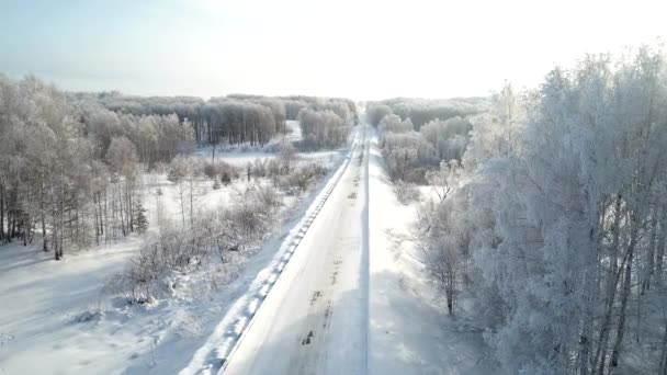 美丽的积雪覆盖的冬季森林的鸟瞰 — 图库视频影像