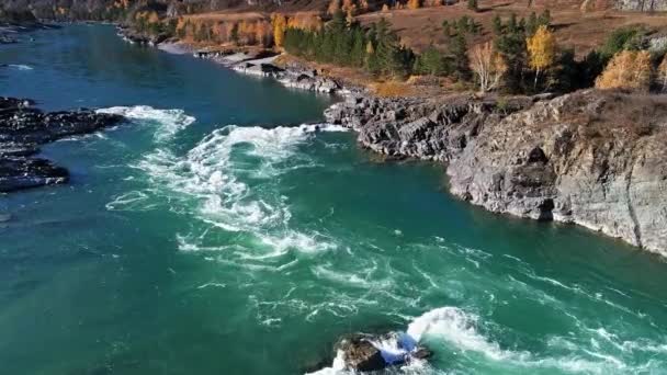 Soğuk Dağ Nehri Üzerinde Alçak Uçuş Altai Katun Nehri Hava — Stok video