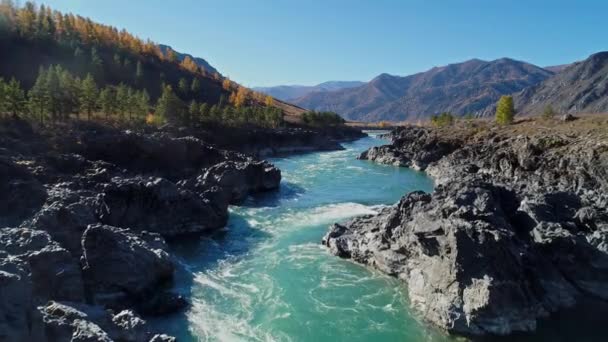 新鮮な冷たい山の川の上に低飛行 アルタイ カトゥン川 空中の眺め — ストック動画