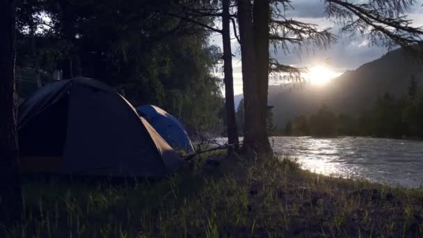 Dos Tiendas Campaña Bosque Mañana Orilla Río Montaña — Vídeos de Stock