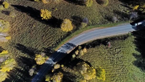 Flucht Über Die Straße Zwischen Feldern — Stockvideo