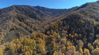 Sonbahar dağ manzarasının hava manzarası