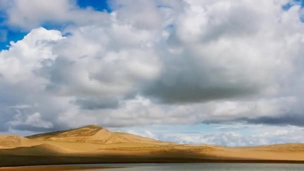 Barkhans Στην Έρημο Sandy Μογγολία — Αρχείο Βίντεο