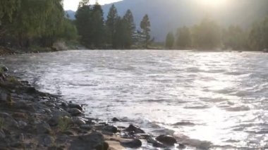 Orman manzaralı dağ nehri