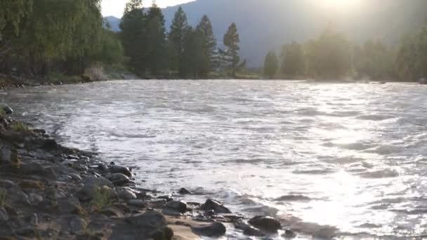 Río Montaña Vista Del Bosque — Vídeos de Stock