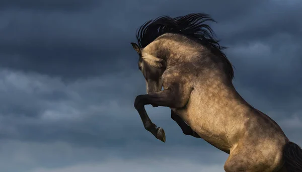 Andalusische paard achter met een dramatische bewolkte hemel. — Stockfoto