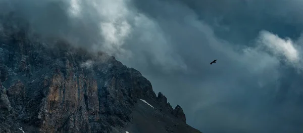 Eagle soaring near rock Zagedan. Caucasus Mountains.