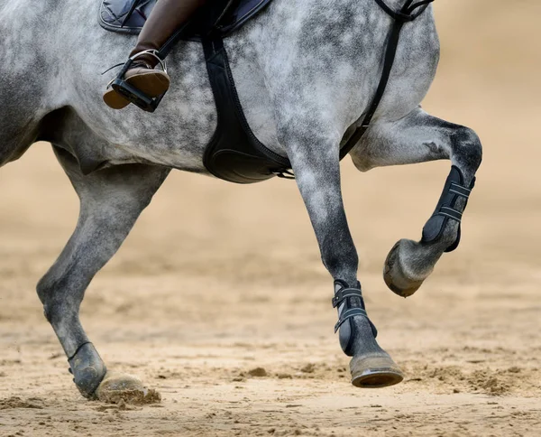 Image rapprochée des jambes de cheval en concours de saut d'obstacles . — Photo