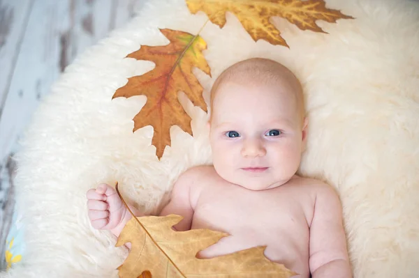 O bebê se senta em uma cadeira — Fotografia de Stock