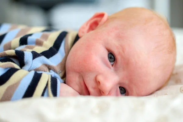 Vida de um recém-nascido — Fotografia de Stock