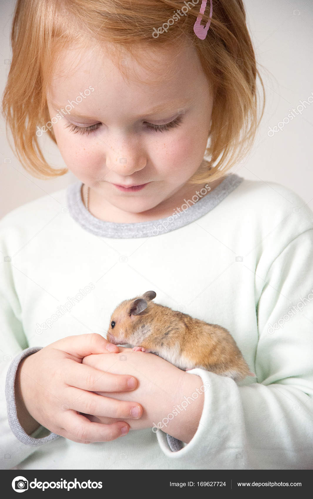 Resultado de imagen de hamster ruso y mano niña