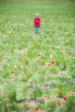 Kız çiçeklenme yaz alanını boşaltmak