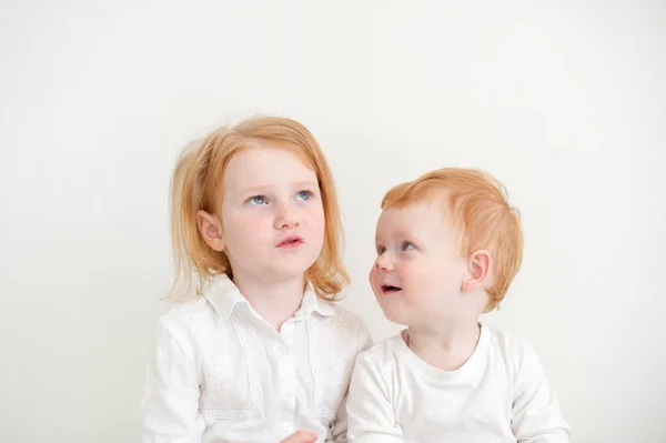 Sorella Fratello Comunicano Sullo Sfondo Bianco — Foto Stock