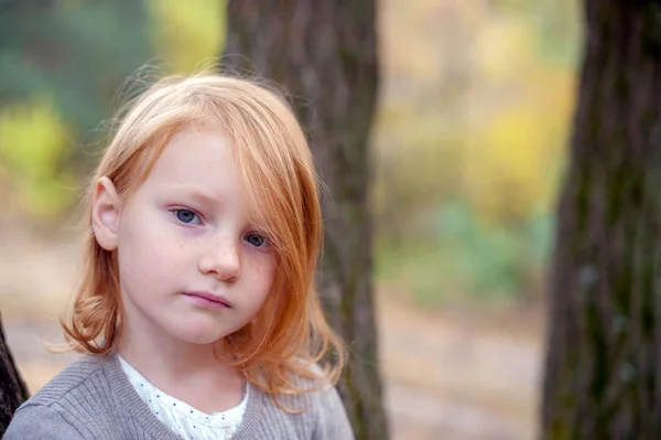 Portret Van Een Roodharige Meisje Met Sproeten — Stockfoto