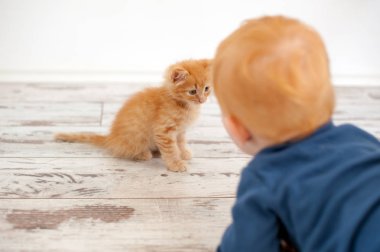 Kızıl saçlı yavru kedi Kızıl saçlı çocuk görünüyor