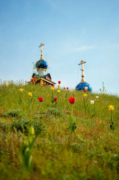 Domes Church Background Flowering Meadow — Stock Photo, Image