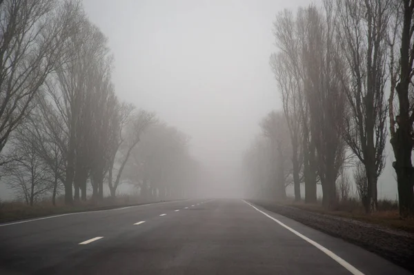 Sisin içindeki yol.