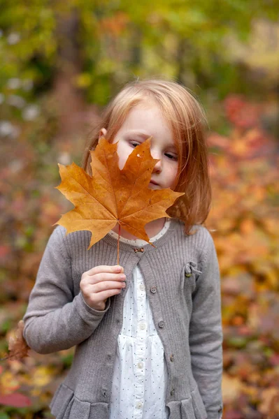 Girl Holding Yellow Maple Leaf — Stock Photo, Image