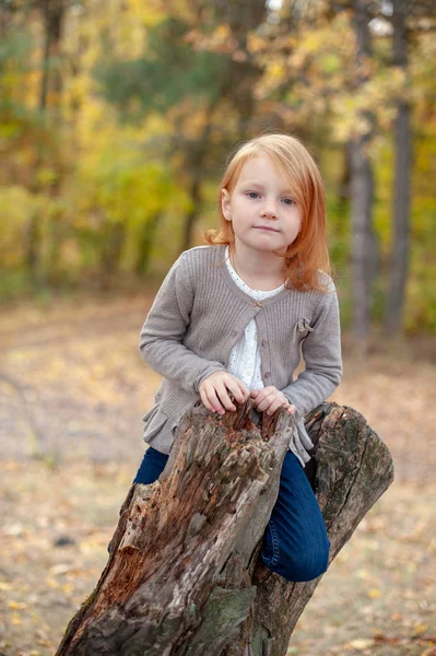 Girl Autumn Forest Stump — Stock Photo, Image