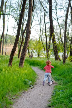 Bir çocuk bir orman yolu boyunca bir scooter sürme