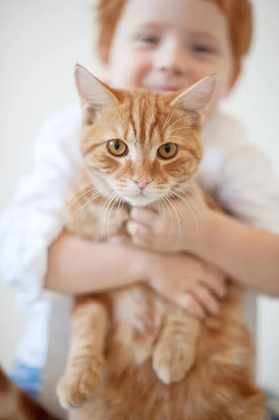 Lustiger Rothaariger Junge Mit Roter Katze — Stockfoto