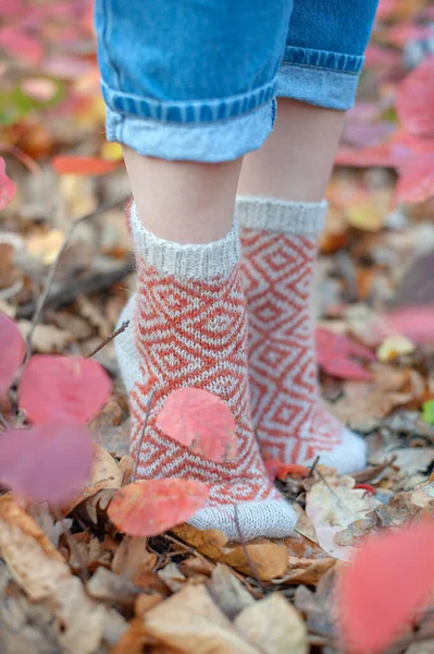 Handmade Knitted Socks Background Leaves — Stock Photo, Image