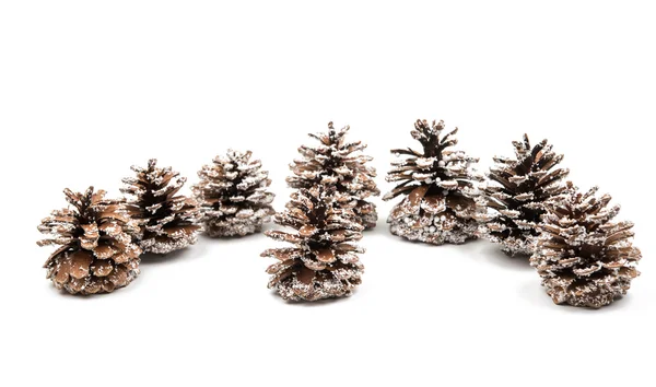 Decoración de conos de pino — Foto de Stock