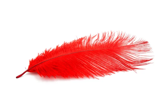 Color feather art — Stock Photo, Image