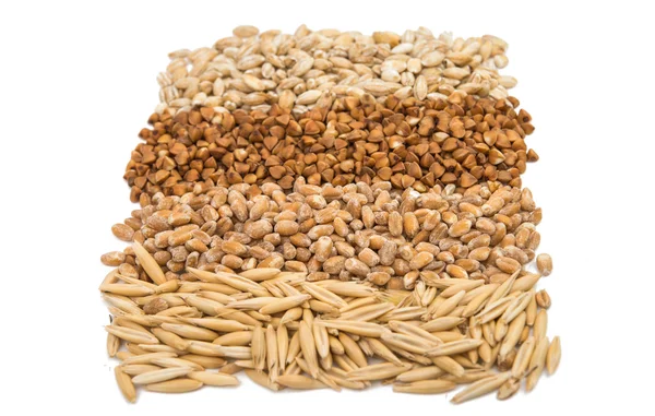 荞麦、 大麦、 小麦、 燕麦的背景 — 图库照片
